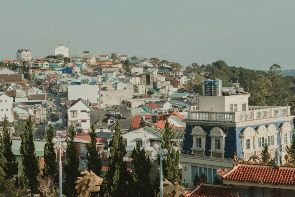 Tại Đàm Thị Cúc