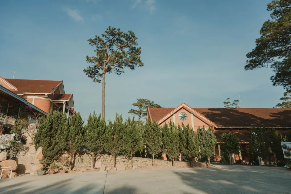 Hình ảnh tại Đàm Thị Cúc 6